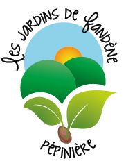 logo pepiniere